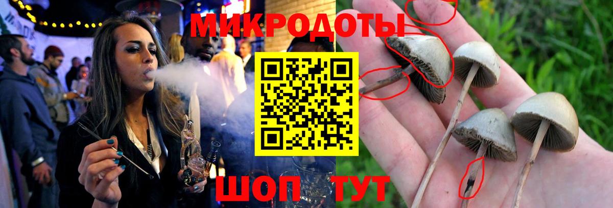 Галлюциногенные грибы мицелий  Вход с VPN  Сергиев Посад  магазин  наркотиков  Псилоцибиновые грибы GOLDEN TEACHER 